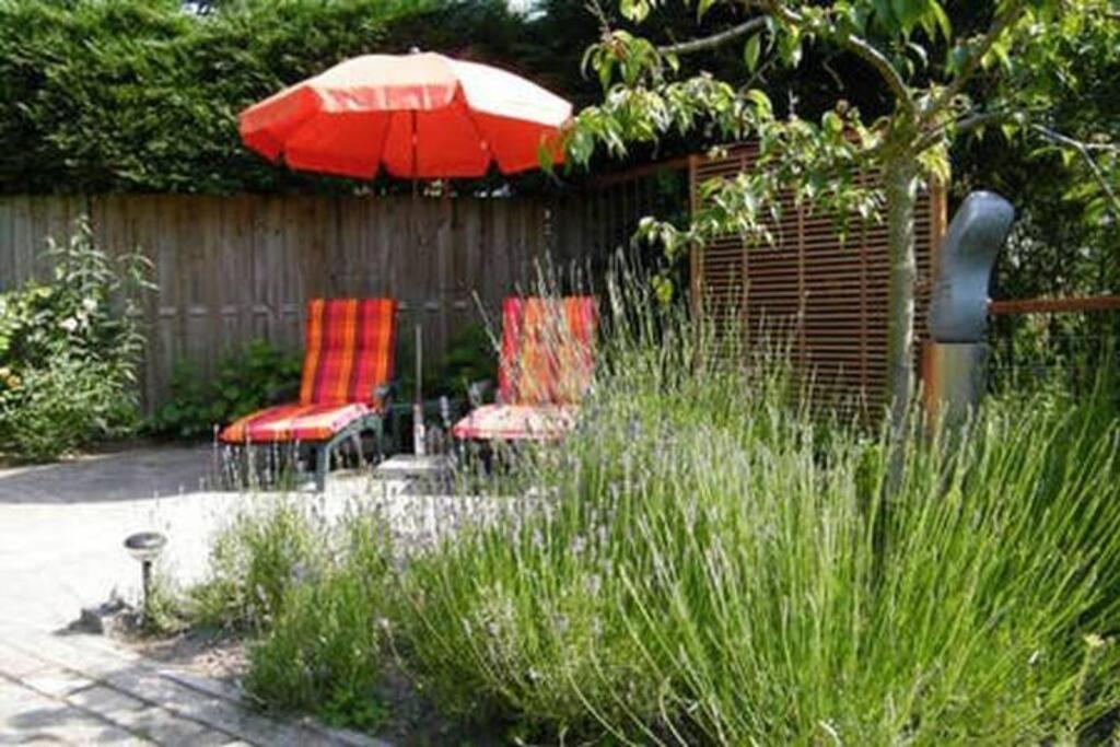 Studio Bed & Strand Scharendijke Luaran gambar