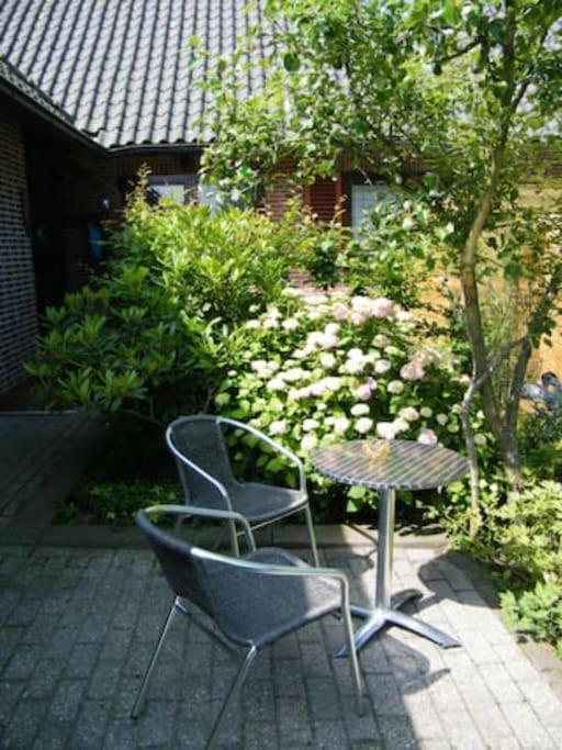 Studio Bed & Strand Scharendijke Luaran gambar